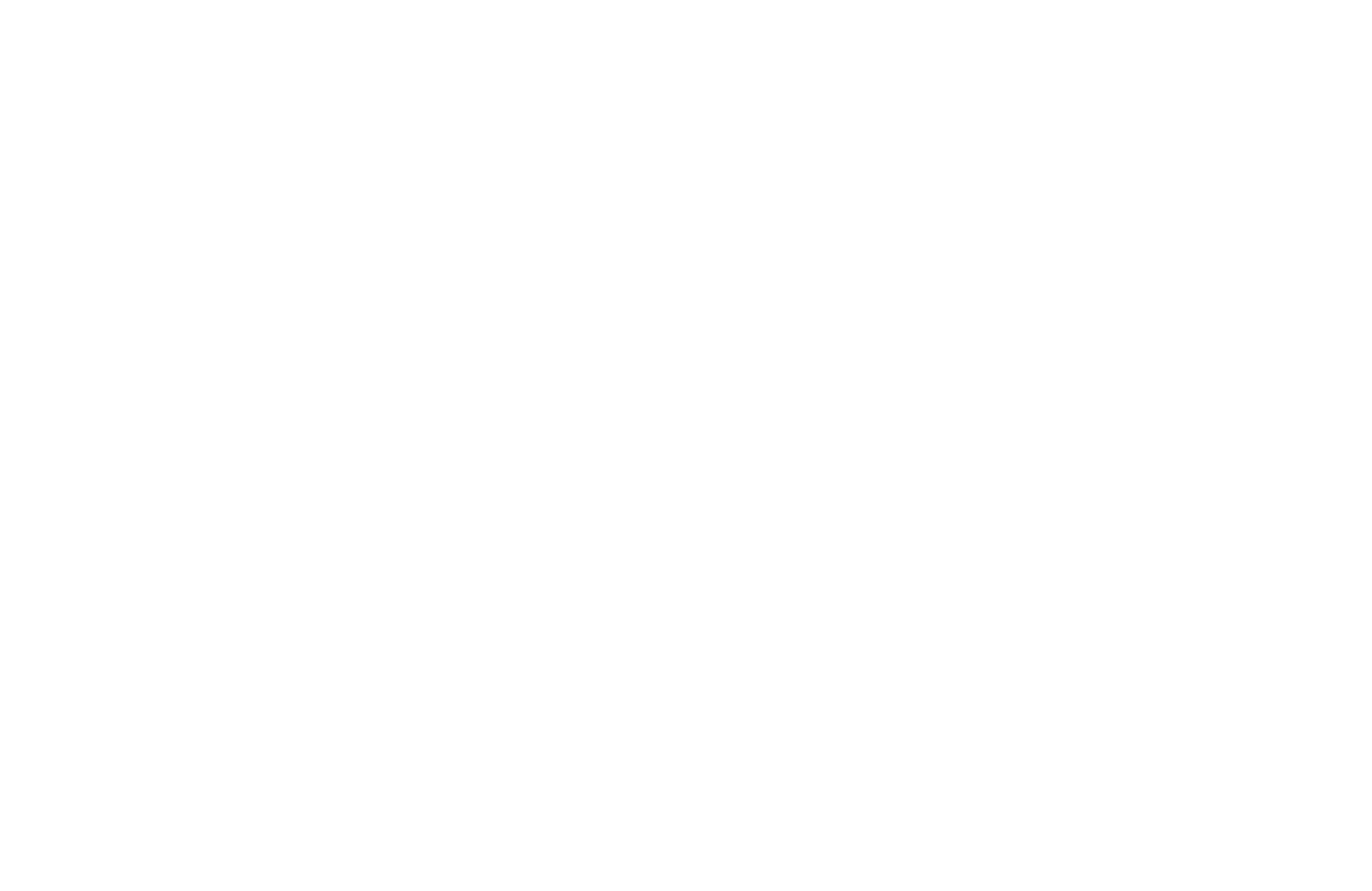 logo-bridgestone-blanc